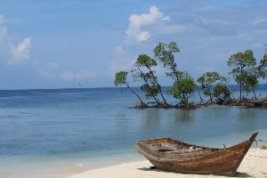 Havelock Island